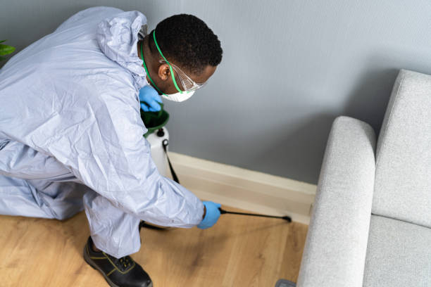 Best Bed Bug Extermination  in Sylvania, GA